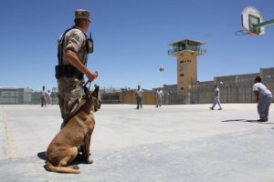 prison yard with inmates, guard, and dog